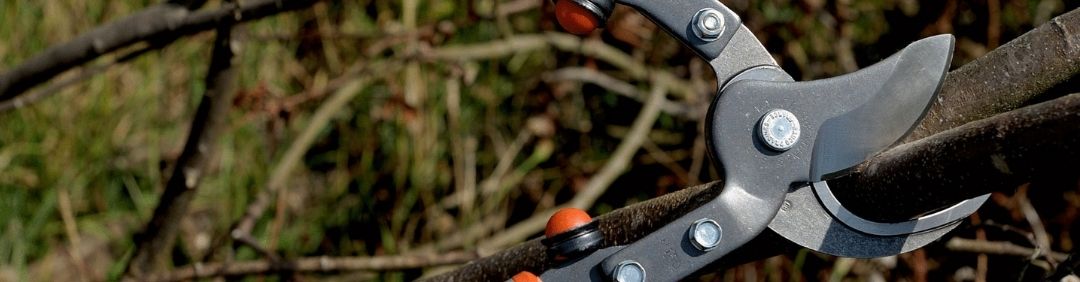 Die besten Bahco Astscheren im Angebot bei AgriEuro