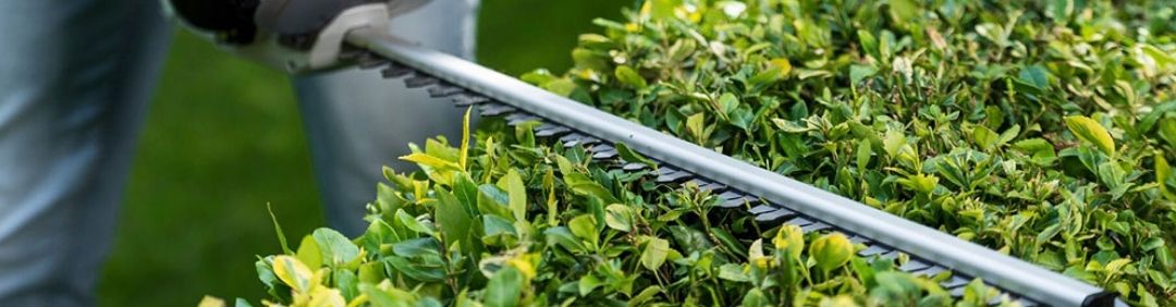 Die besten Batavia Heckenscheren im Angebot bei AgriEuro