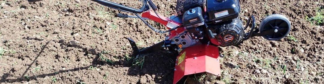 Die besten Benassi Motorhacken im Angebot bei AgriEuro
