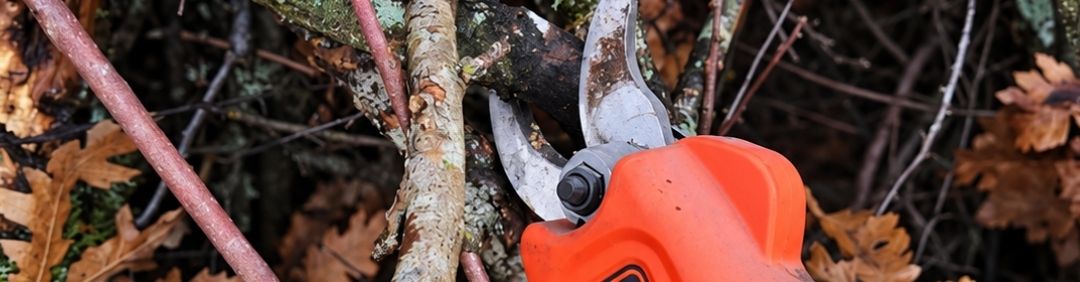 Die besten Black and Decker Akku-Astscheren im Angebot bei AgriEuro