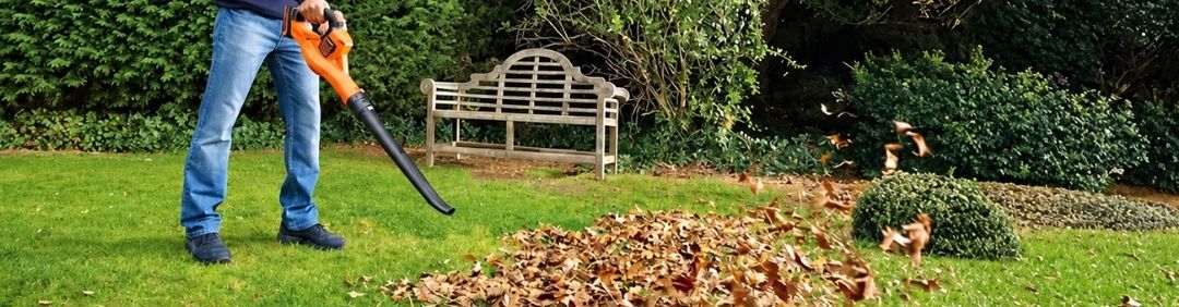 Die besten Black and Decker Laubbl&auml;ser und Laubsauger im Angebot bei AgriEuro