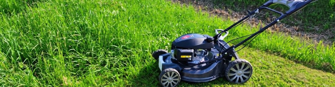 Die besten BlackStone Rasenm&auml;her im Angebot bei AgriEuro