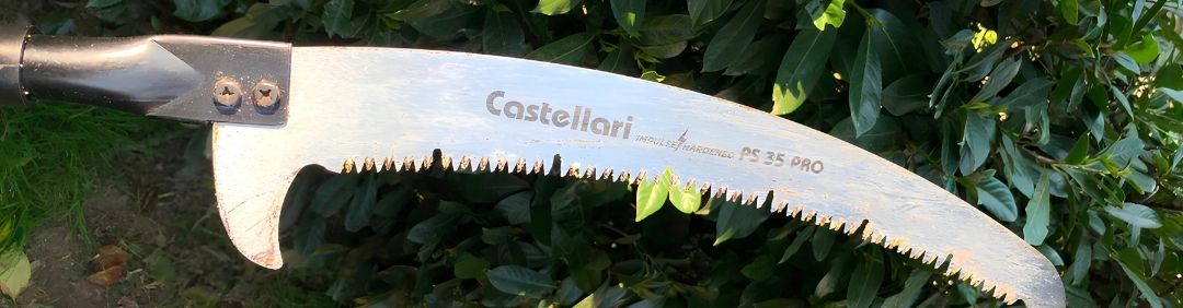 Die besten Castellari-Asts&auml;gen mit Verl&auml;ngerungsstange im Angebot bei AgriEuro