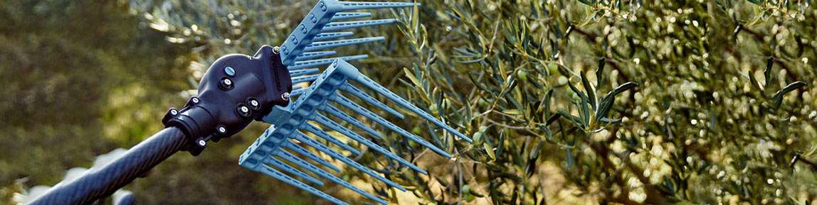 Olivenernter und Schüttler