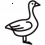 Gans 