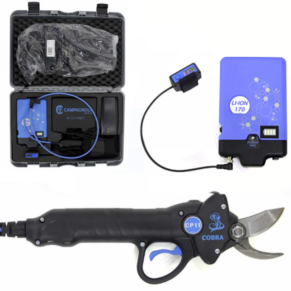 Elektrische Baumschere für das Beschneiden Campagnola Cobra CP11, mit Akku - Power Kit 170 LI-ION im Angebot