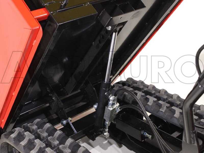 Raupendumper GINKO TR 660 ausziehbare Bordw&auml;nde, hydraulisches Kippen, Motor Honda GX 200