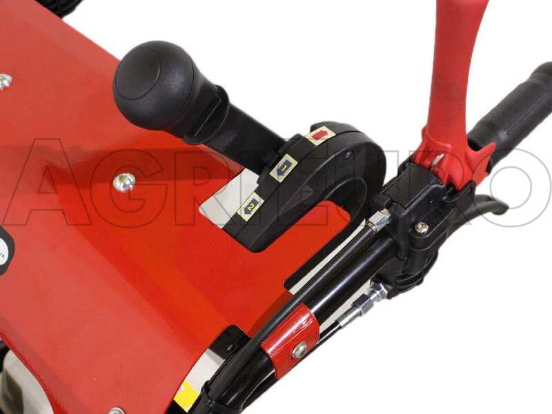 Raupendumper GINKO TR 660 ausziehbare Bordw&auml;nde, hydraulisches Kippen, Motor Honda GX 200