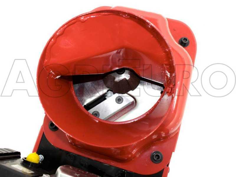 GeoTech GSB50 - Benzin-H&auml;cksler - mit Benzinmotor 6 PS