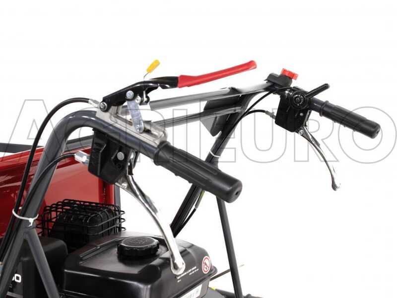 GeoTech Raupendumper GeoPorter 330E BS B&amp;S CR950 mit ausziehbaren Seitenw&auml;nden - 300 kg