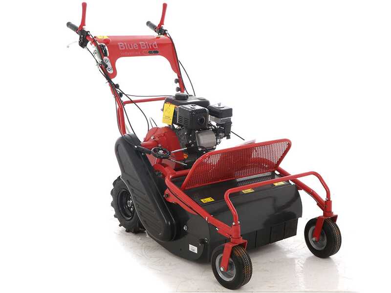 Blue Bird FM600 - Hochgrasm&auml;her mit Hammerwerk - Motor Loncin LC175F-2