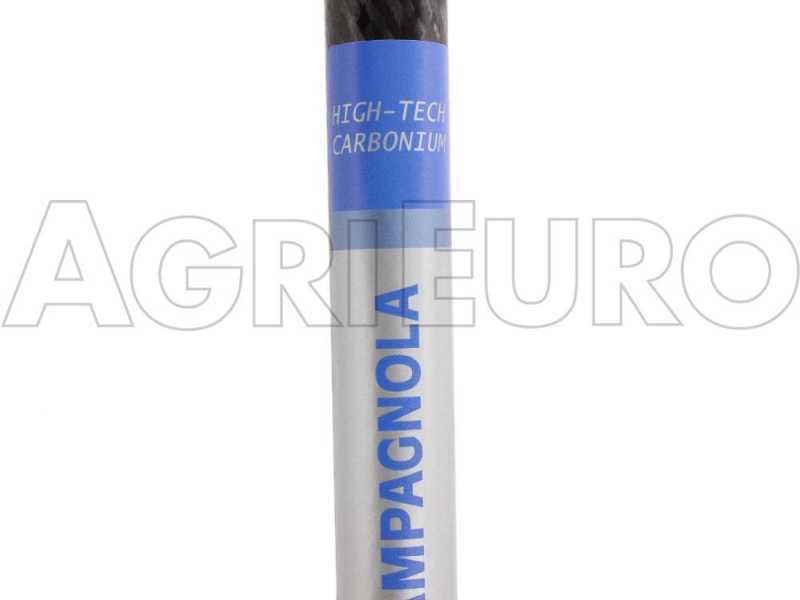 Batteriebetriebener elektrischer Olivenr&uuml;ttler HERCULES 58V 185/270 cm mit Schaft aus Karbonium