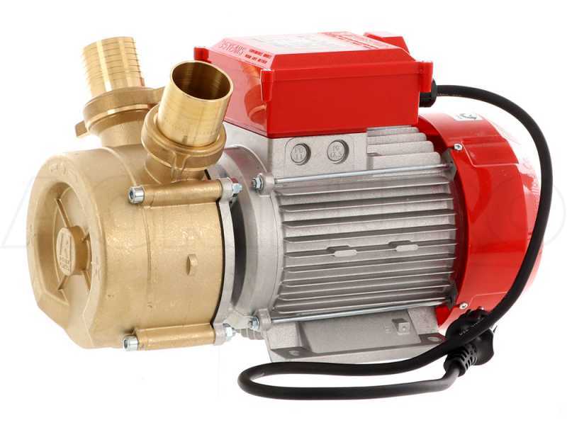 Rover 50 BE-M - Elektropumpe  aus Bronze
