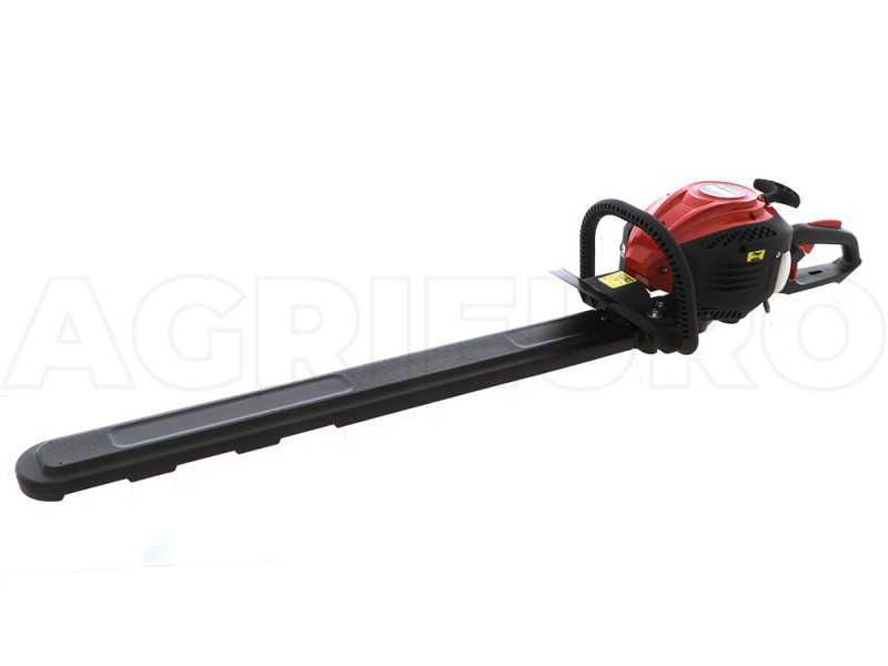 Professioneller Schlegelmulcher Lampacrescia MGM TTR560 - Honda-Motor GX160