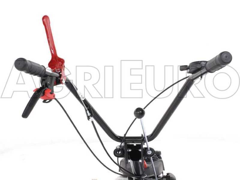 Eurosystems P55 - Benzin-Hochgrasm&auml;her - Messer - Hondamotor GCVX 170
