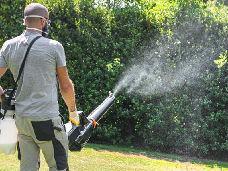 Kit Zerst&auml;uber f&uuml;r Laubbl&auml;ser ATOM6T - f&uuml;r  "Spitz"-Laubbl&auml;ser