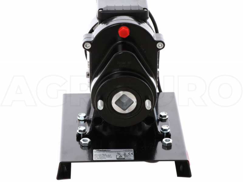 9004N - Tomatenpresse Reber N.5 - 500W Induktionsmotor