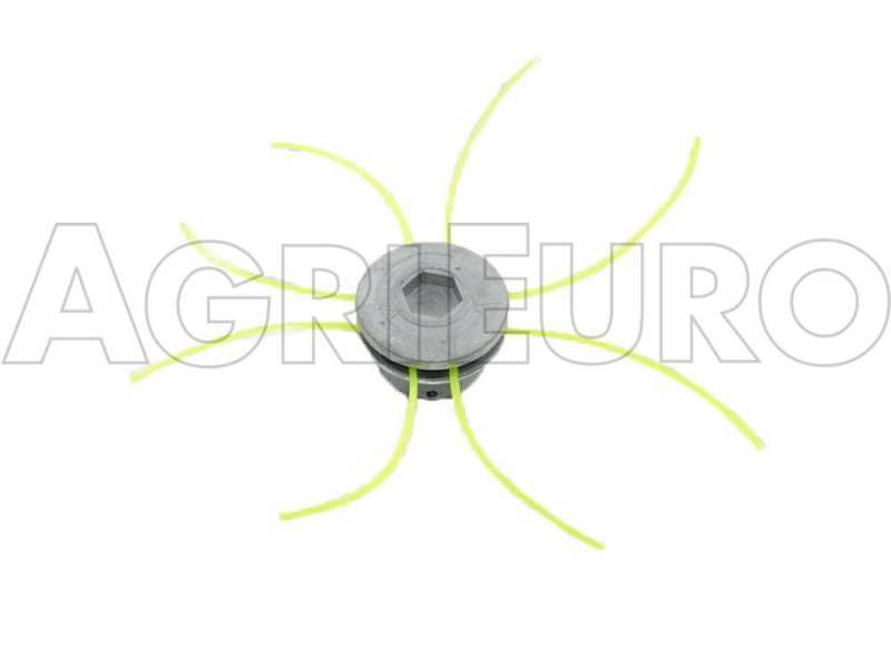 R&uuml;ckentragbarer Olivensch&uuml;ttler  mit Kawasaki TJ 45 Motor und Haken - Stab 180 cm
