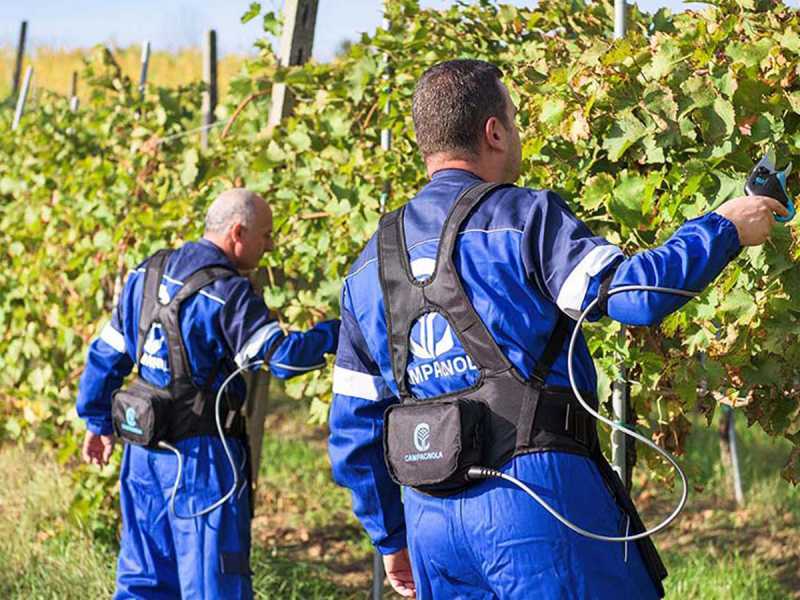 Akku-Baumschere Campagnola Easy S - OHNE AKKU UND LADEGER&Auml;T