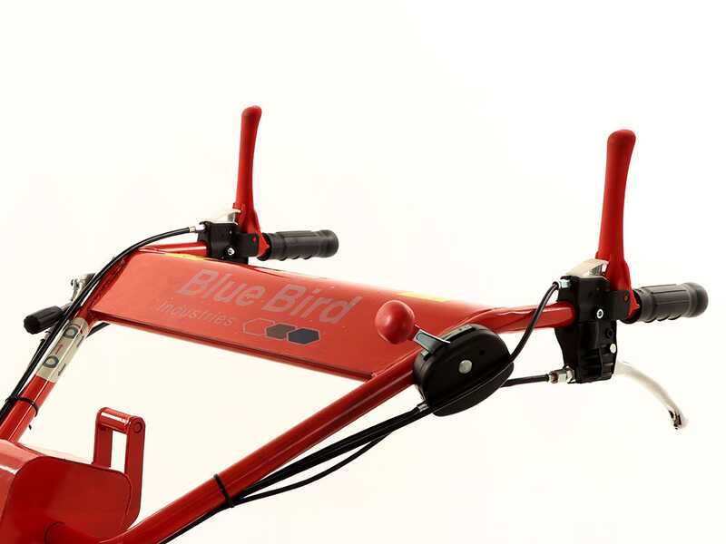 Blue Bird SG0813 - Professioneller Schlegelmulcher - Motor Loncin G390F