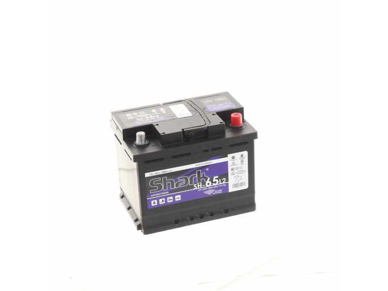 Batteriebetriebener Elektro-Olivenr&uuml;ttler Blue Bird Ionio 12V mit Aluminiumschaft