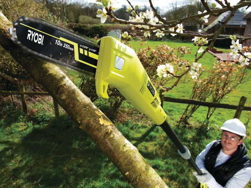 Ryobi RP750450 - Astschere/Heckenschere auf Verl&auml;ngerungsschaft - 750W/450W Motor