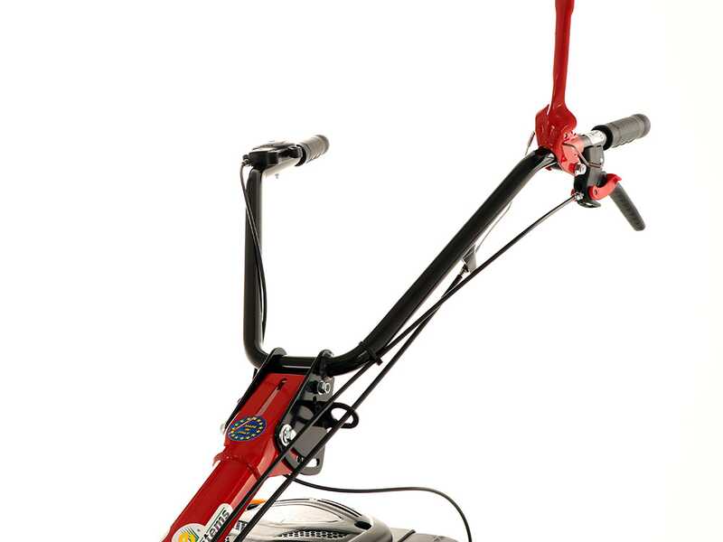 Eurosystems M210 &ndash; Motorm&auml;her mit Doppelmessern &ndash; Loncin LC1P65FE