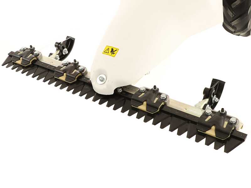 Eurosystems M210 &ndash; Motorm&auml;her mit Doppelmessern &ndash; Loncin LC1P65FE