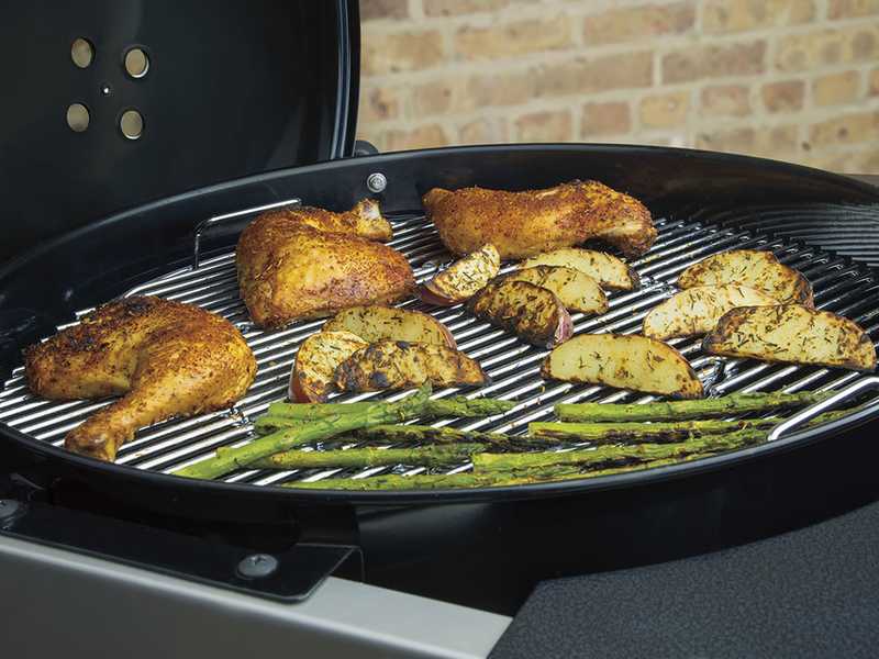 Weber performer deluxe 22 new arrivals