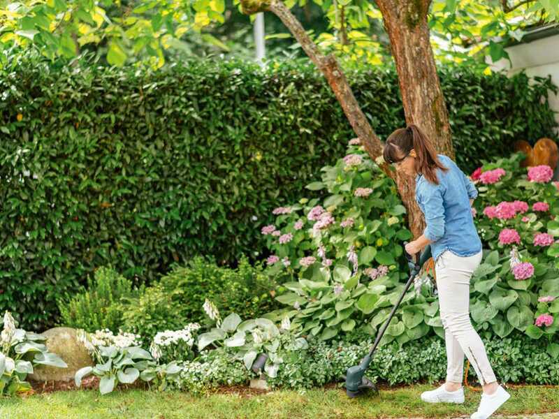 Bosch EasyGrassCut 23 - Elektro-Rasentrimmer - 280W