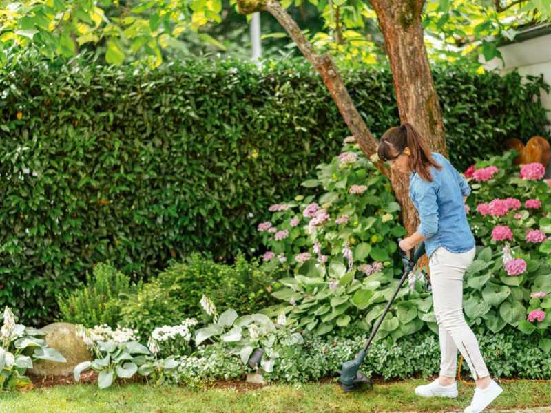 Bosch Easy GrassCut 26 - Elektro-Rasentrimmer -  280W