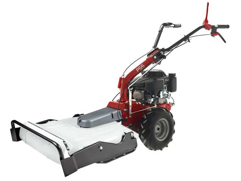 Eurosystems P55 - Benzin-Hochgrasm&auml;her - Loncin 196 ccm