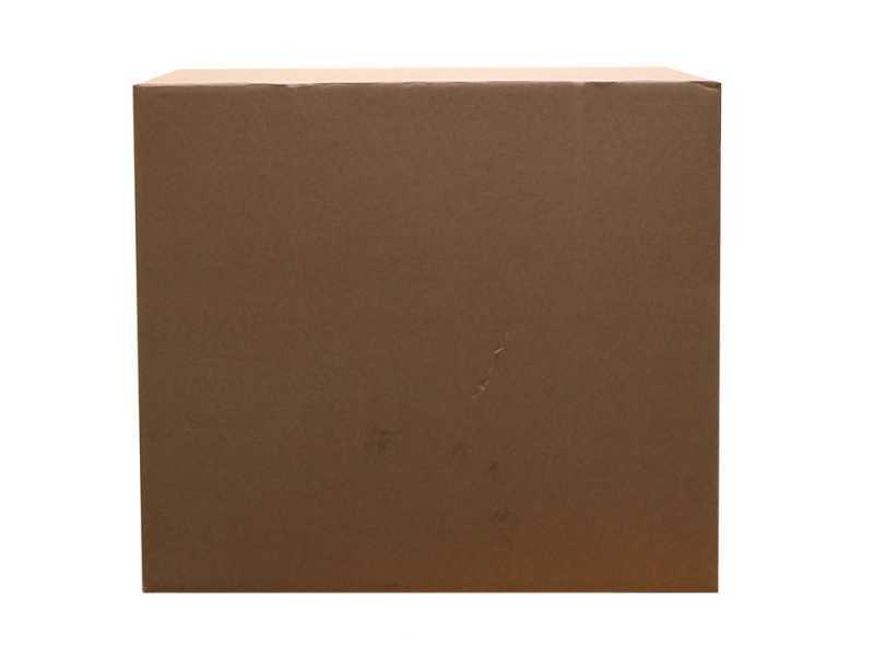 EGO Akku-Schneefr&auml;se EGO SNT 2400E - 2x 56V 7.5Ah