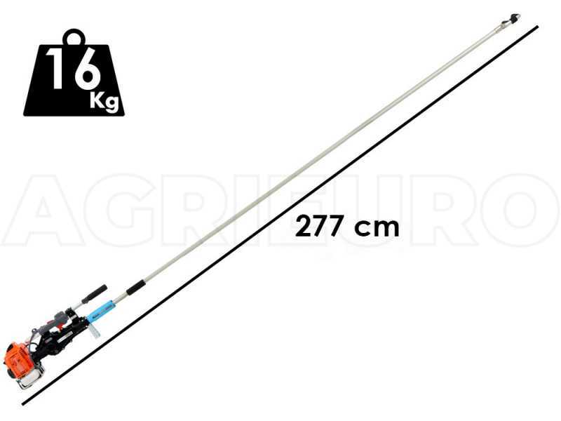 Campagnola GSM Toro Evoluzione K - fester Schaft 200 cm - Benzin-Sch&uuml;ttelhaken