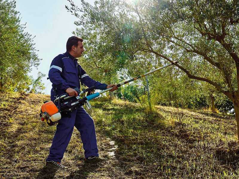 Campagnola GSM Toro Evoluzione K - fester Schaft 200 cm - Benzin-Sch&uuml;ttelhaken