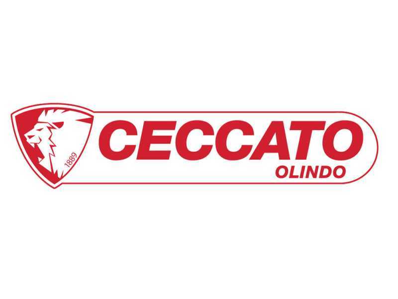 Ceccato BULL SPL13H - Benzin-Holzspalter - 13 t