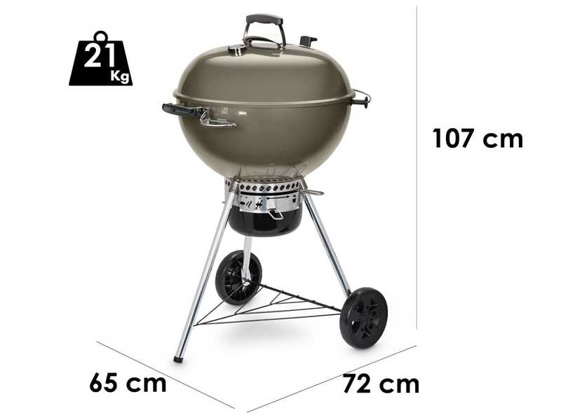 Weber gbs master touch 57 top