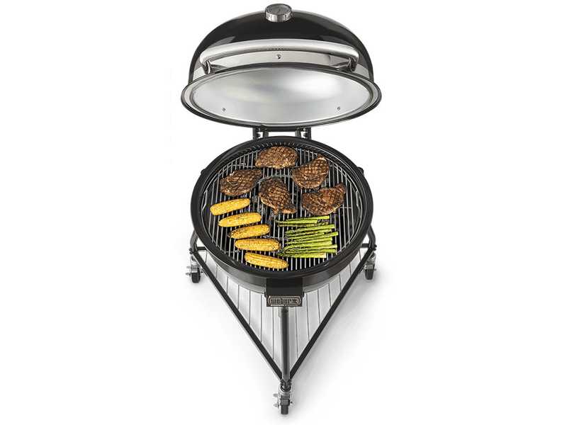 Weber summit bbq new arrivals