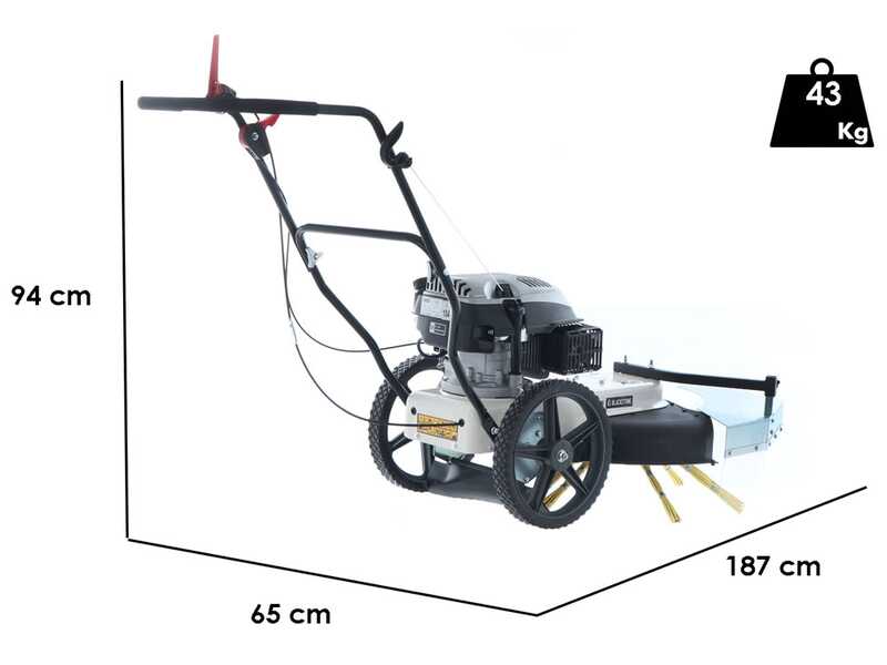 Kehrmaschine-Fadenm&auml;her zum Schieben BlackStone WYT 60-173 - Motor 173 ccm