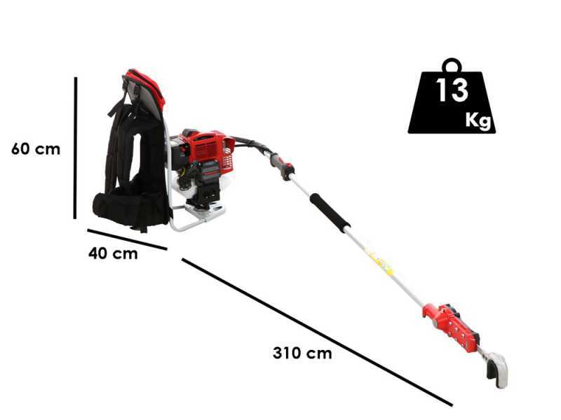 Benzin-Haken-Olivenr&uuml;ttler 180 cm - mit Rucksack- Kawasaki TJ 53 Motor