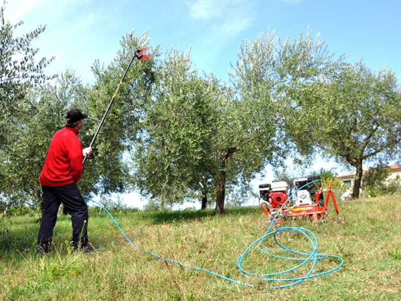 Pneumatische Olivenerntemaschine Lisam V8 Evo - Olivenr&uuml;ttler - 7-8 bar - 1900 Schl&auml;ge pro Minute