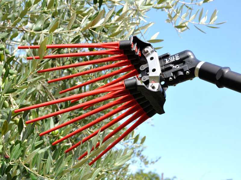 Pneumatische Olivenerntemaschine Lisam V8 Evo - Olivenr&uuml;ttler - 7-8 bar - 1900 Schl&auml;ge pro Minute