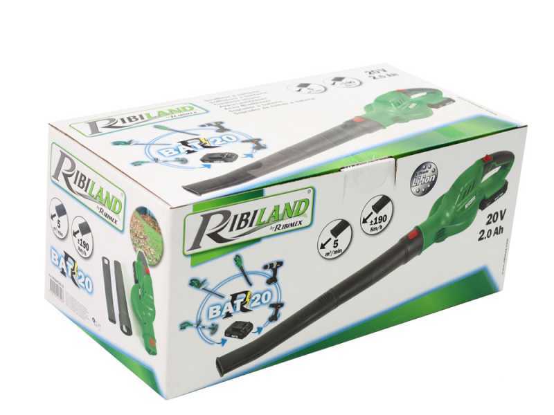 Akku-Laubbl&auml;ser RIBIMEX PRBAT20-S - 20V 2Ah Akku
