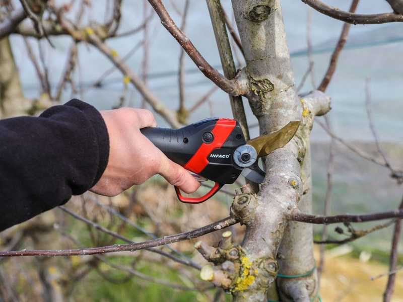 Akku-Baumschere Infaco F3020 - Standard Kit &Oslash; 40 mm f&uuml;r Wein- und Obstg&auml;rten