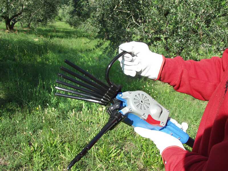 Elektrischer Akku-Olivenr&uuml;ttler Lisam Oliwatt 2  - Nylonzinken - 280 cm - fester Schaft
