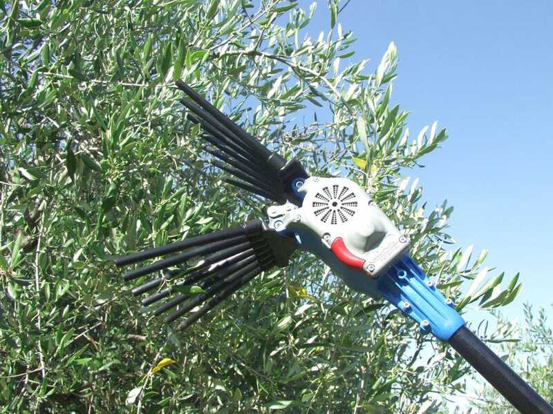 Elektrischer Akku-Olivenr&uuml;ttler Lisam Oliwatt 2  - Nylonzinken - 280 cm - fester Schaft