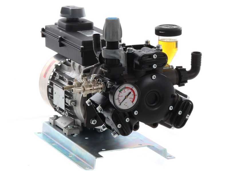 Membranpumpe mit Elektroantrieb Comet APS 31, 230V-Motor - Leistung 2 PS