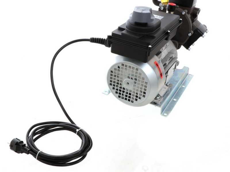 Membranpumpe mit Elektroantrieb Comet APS 31, 230V-Motor - Leistung 2 PS