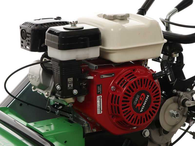 Professioneller Schlegelmulcher Lampacrescia MGM TTR560 - Honda-Motor GX160