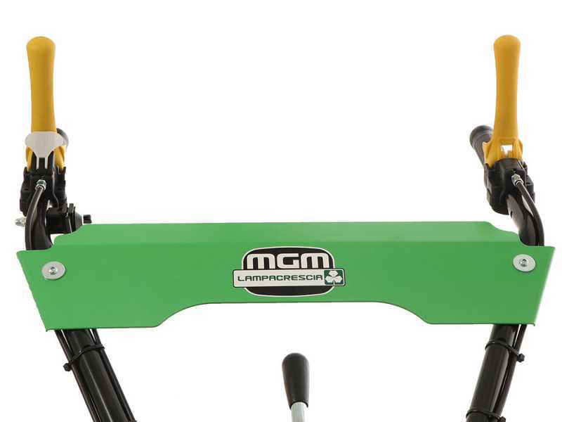 Professioneller Schlegelmulcher Lampacrescia MGM TTR560 - Honda-Motor GX160